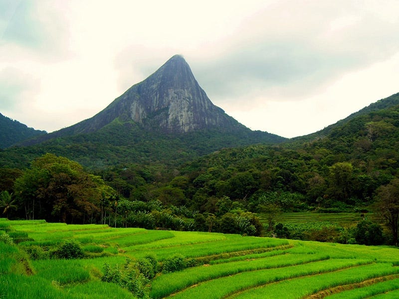 The Thrill Seeker’s Paradise: Best Adventures in Sri Lanka