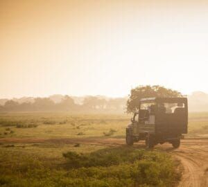 Morning wild safari in Sri Lanka – golden sunrise lighting up the landscape as wildlife awakens, featured in JLK Tours nature and adventure experiences.