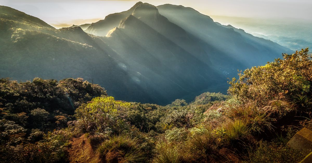 Scenic highland plateau with grasslands, cloud forests, and wildlife in Sri Lanka