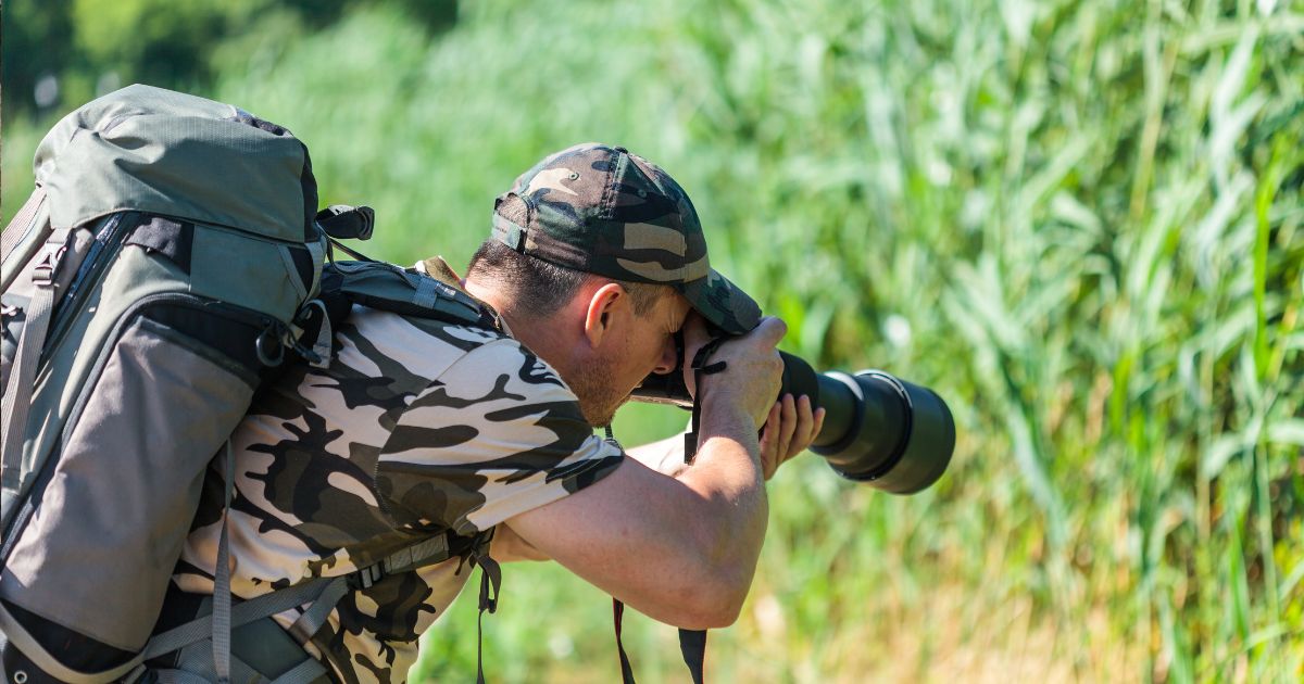 Wildlife photography capturing animals in their natural habitat, showcasing raw beauty and untouched wilderness