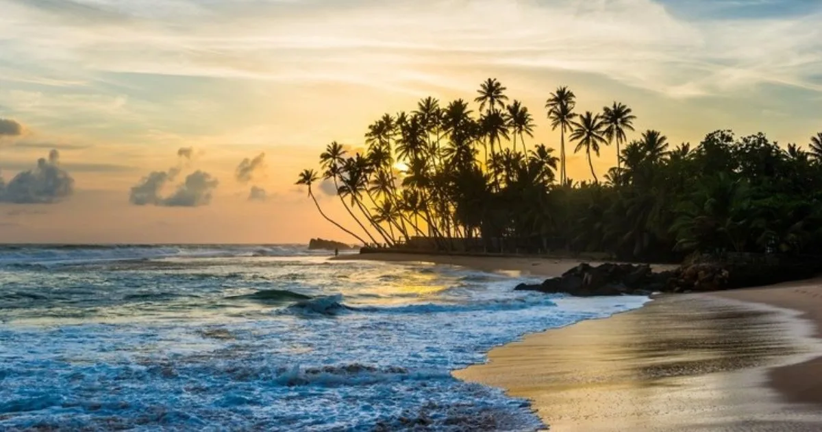 Coastlines in sri lanka