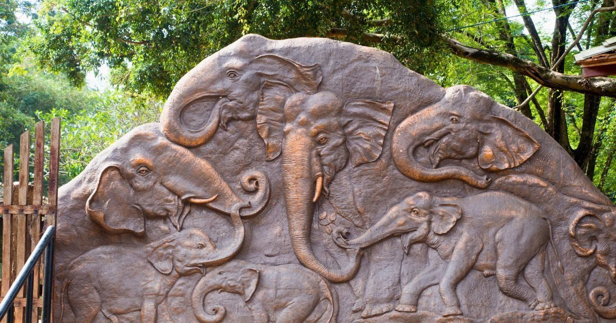 pinnawala