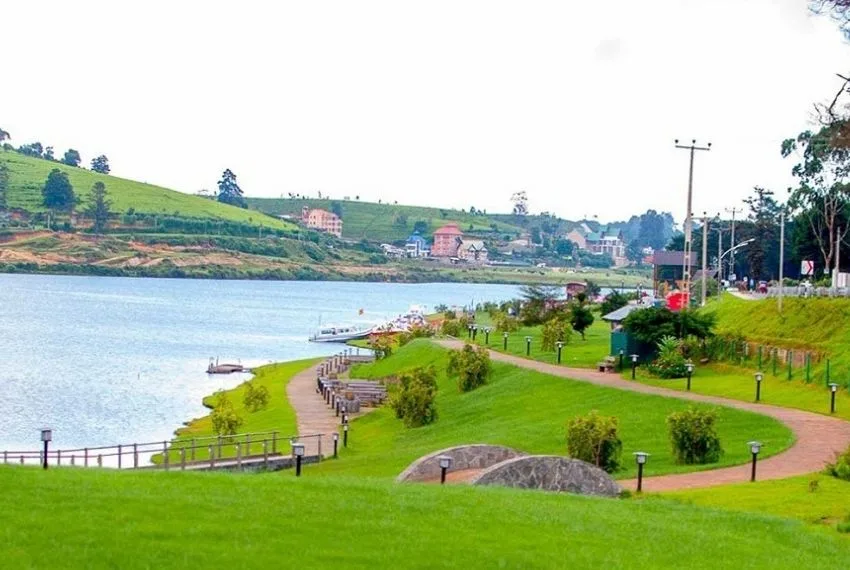 Gregory Lake