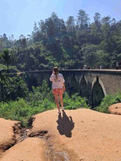 Embrace the journey and capture the beauty! Stand in awe of the iconic Nine Arch Bridge as JLK Tours takes you to explore Sri Lanka’s unforgettable landscapes.
